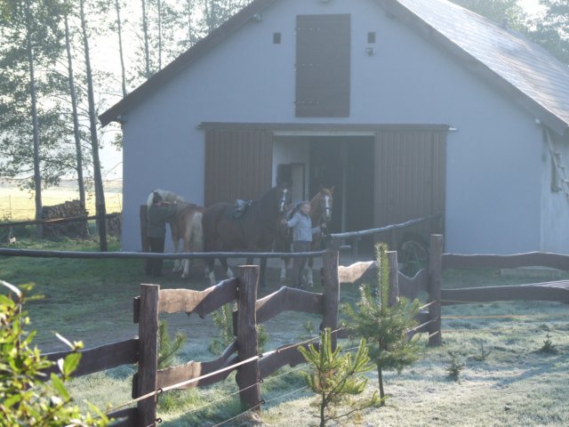 hubertuswietrznastajnia20102.jpg
