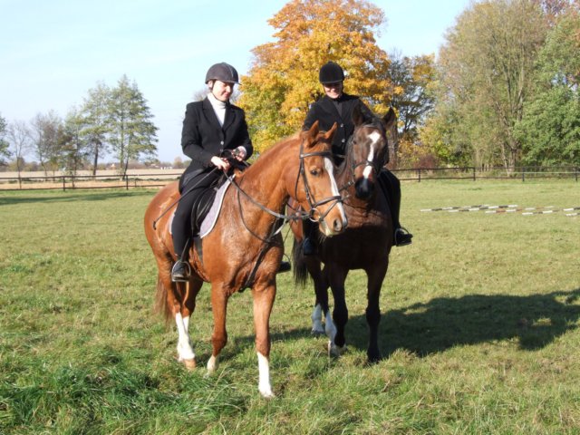hubertuswietrznastajnia201028.jpg