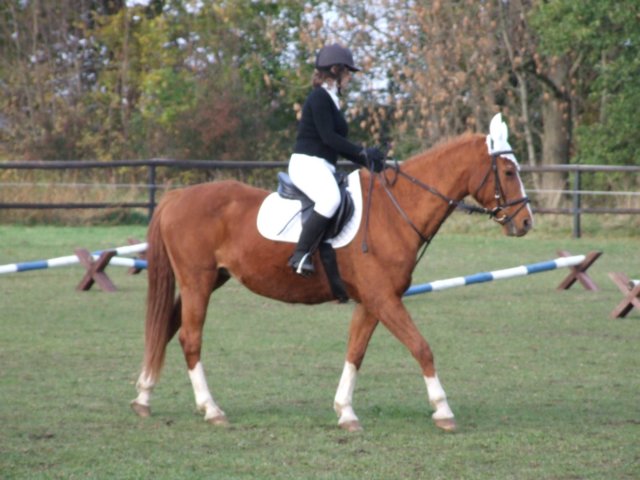 hubertus201123.jpg