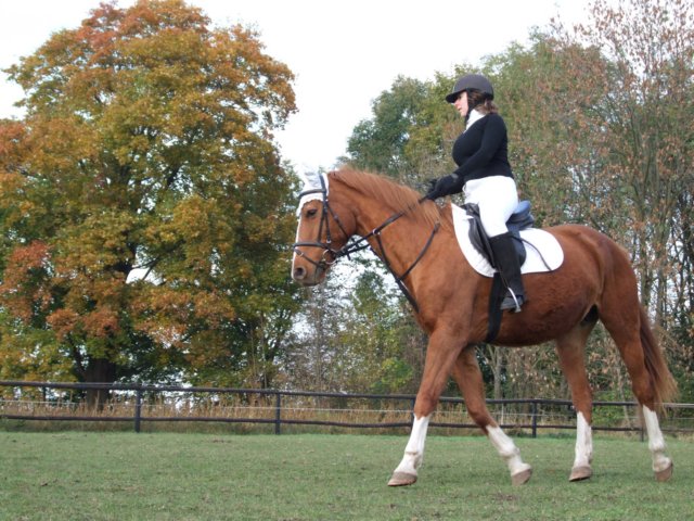 hubertus201133.jpg