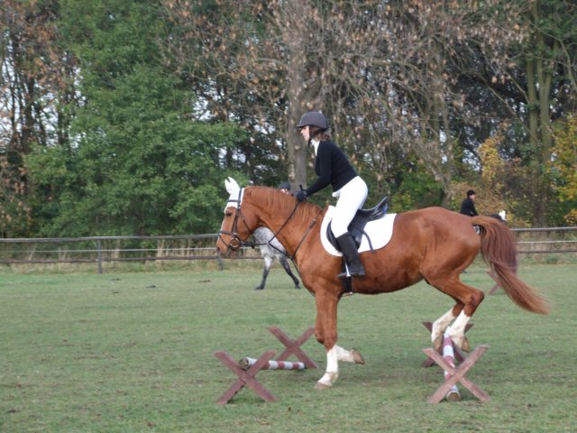 hubertus201148.jpg