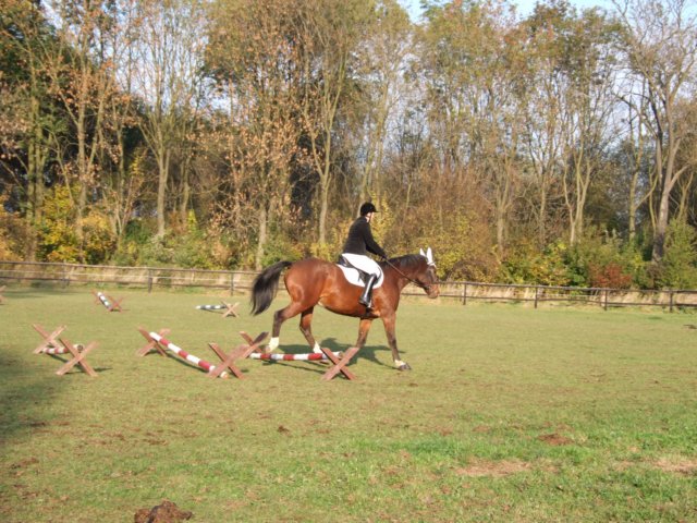 hubertus201156.jpg