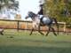 hubertus201166_small.jpg