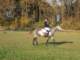 hubertus201170_small.jpg