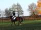 dscf7837_small.jpg