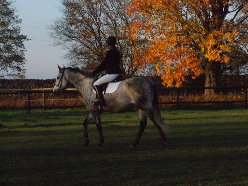 dscf7838.jpg
