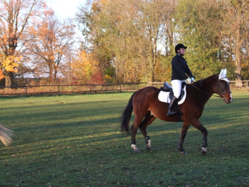dscf7858.jpg