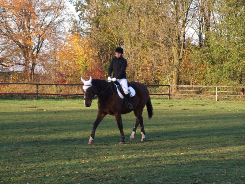 dscf7863.jpg