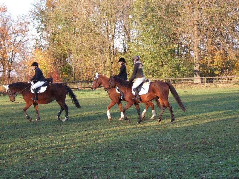 dscf7874.jpg