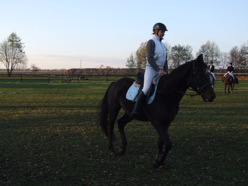 dscf7881.jpg