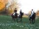 dscf7906_small.jpg