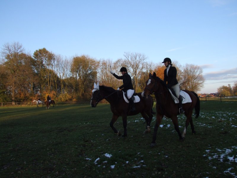 dscf7908.jpg