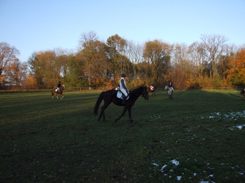 dscf7915.jpg