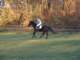 dscf7923_small.jpg