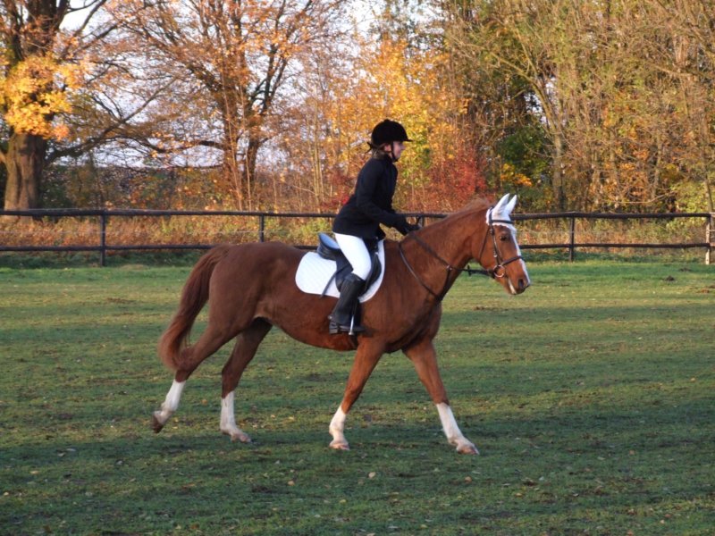 dscf7937.jpg