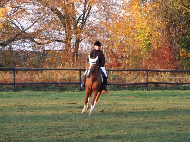 dscf7940.jpg