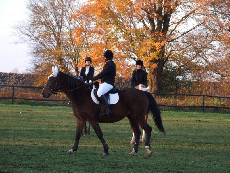 dscf7956.jpg