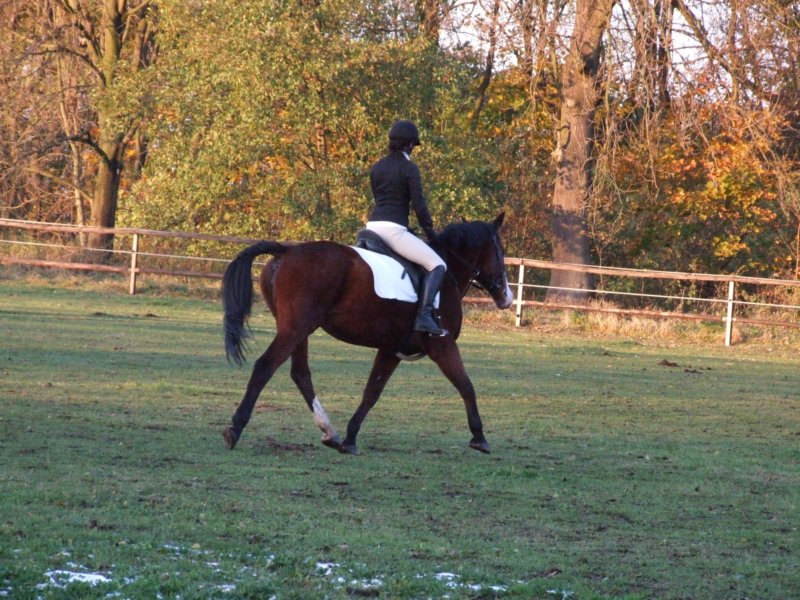 dscf7959.jpg