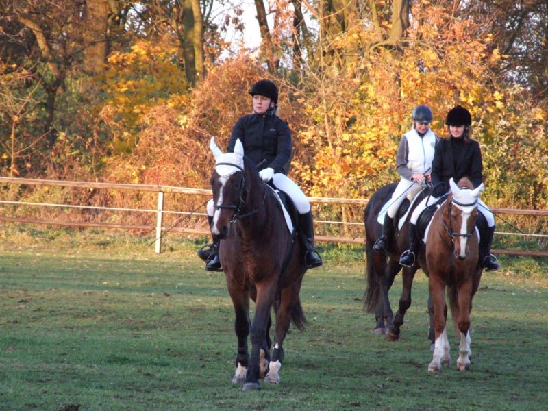 dscf7964.jpg