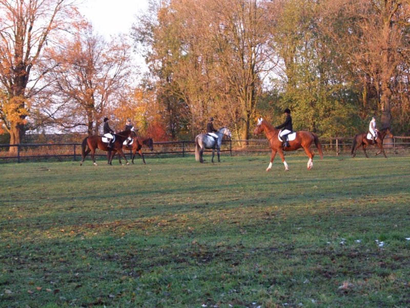 dscf7977.jpg