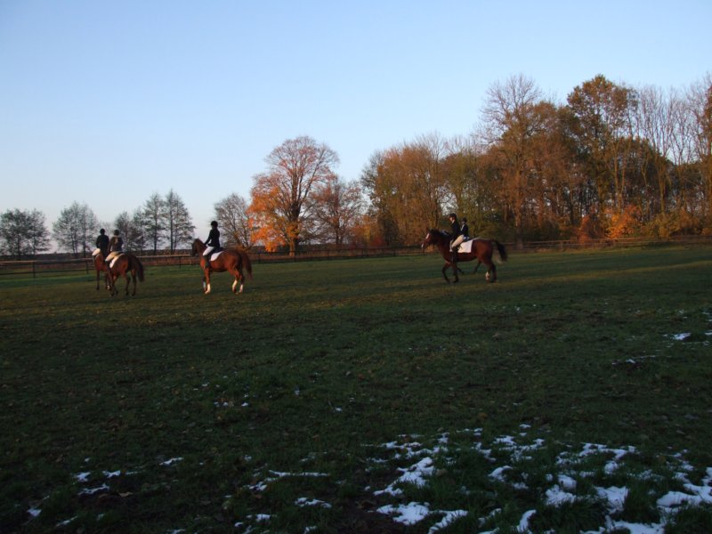 dscf7984.jpg