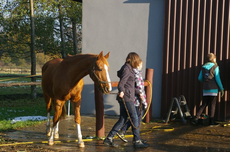 imgp0657.jpg