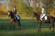 imgp0720_small.jpg