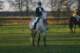 imgp0742_small.jpg