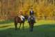 imgp0778_small.jpg