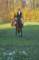 imgp0779_small.jpg