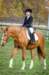 hubertus201316_small.jpg