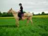 dscf6122_small.jpg