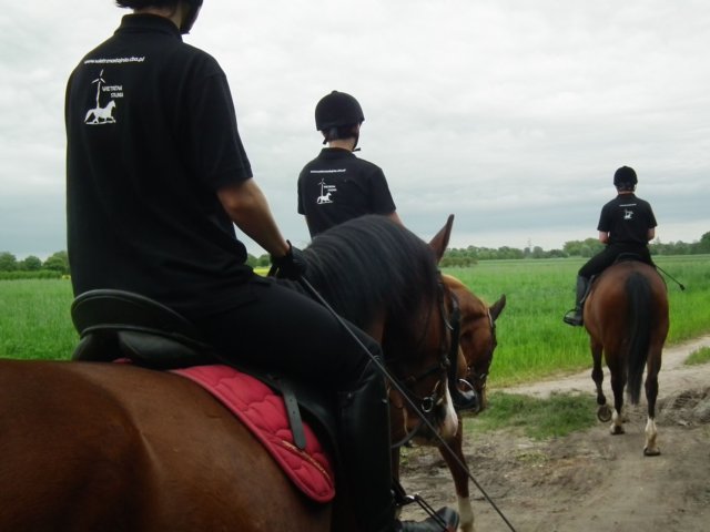 dscf6155.jpg