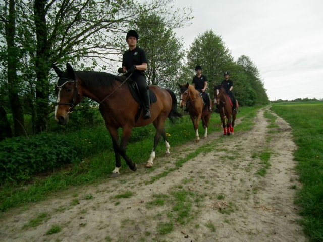 dscf6164.jpg