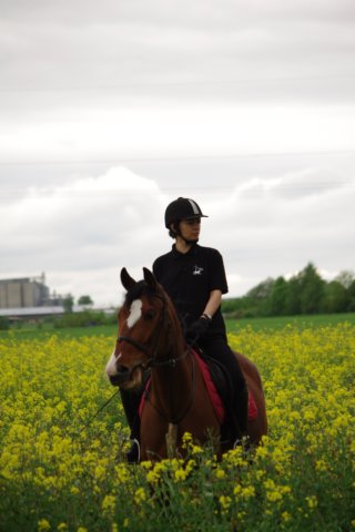 imgp8520.jpg