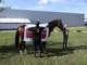 dsc09716_small.jpg