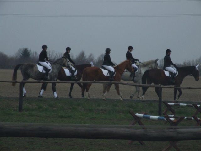 dscf5301.jpg