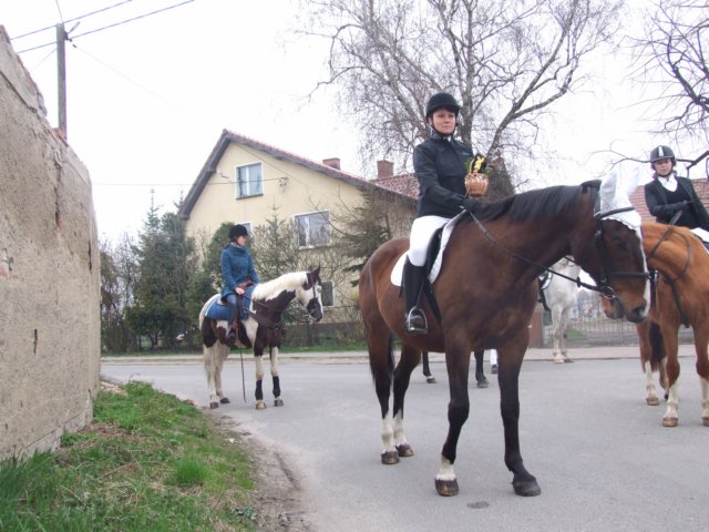 dscf5320.jpg