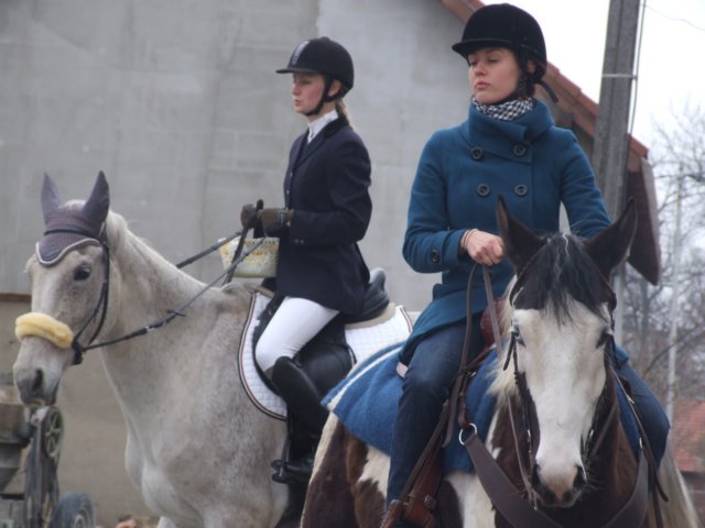 dscf5337.jpg