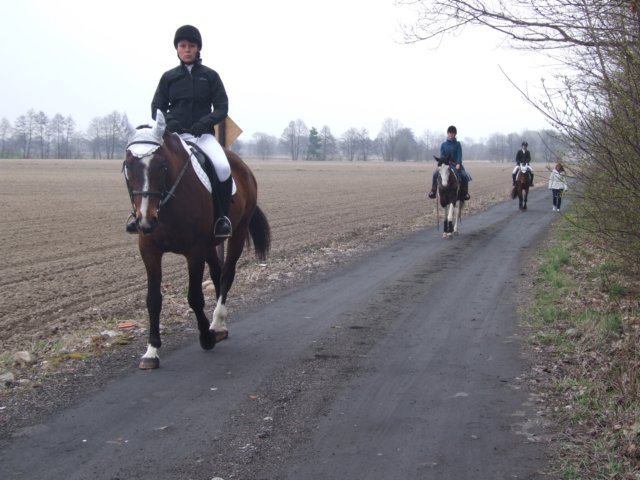 dscf5378.jpg