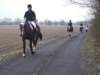dscf5378_small.jpg