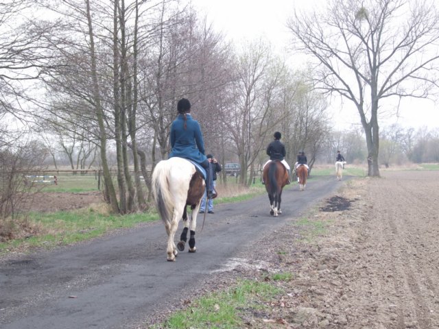 dscf5384.jpg