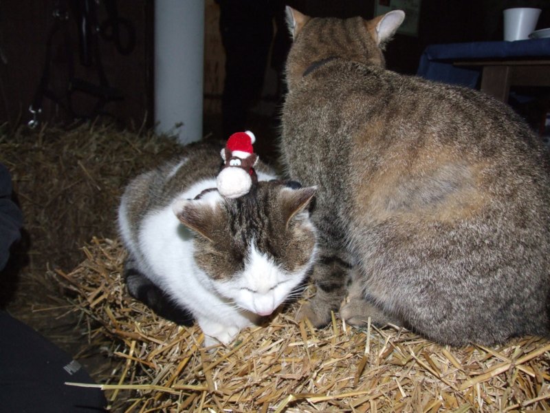 dscf8052.jpg