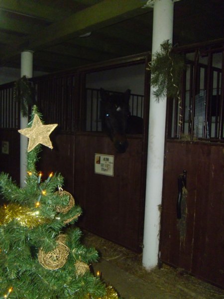 wigilia2012111.jpg