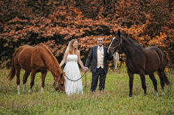 Sesja ślubna w Wietrznej Stajni, fotograf - Krystian Kot